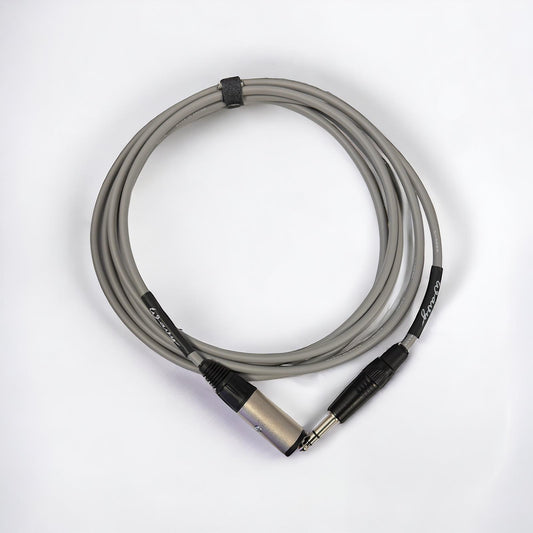 Locking Headphone Extension Cable (Gray)
